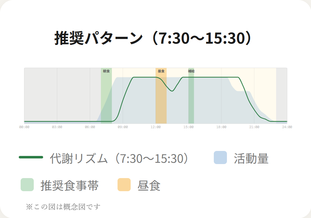 推奨パターン 7:30〜15:30：代謝と活動量が重なる
