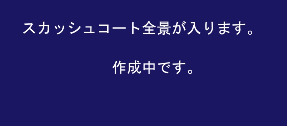 スカッシュコート全景
